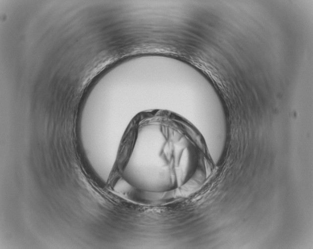 X0000087390352200705111806