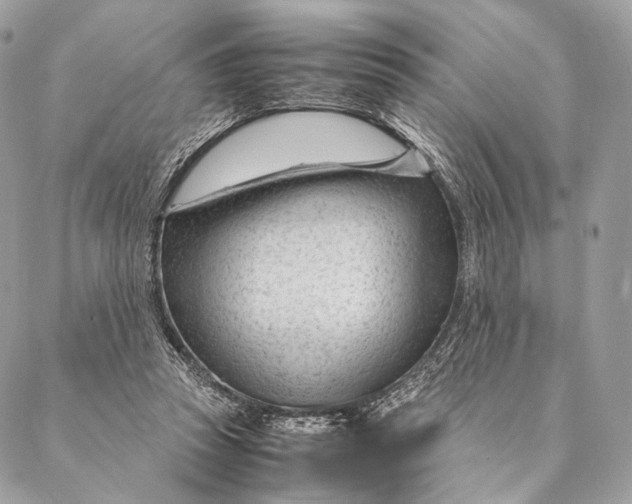 X0000087390353200705111806