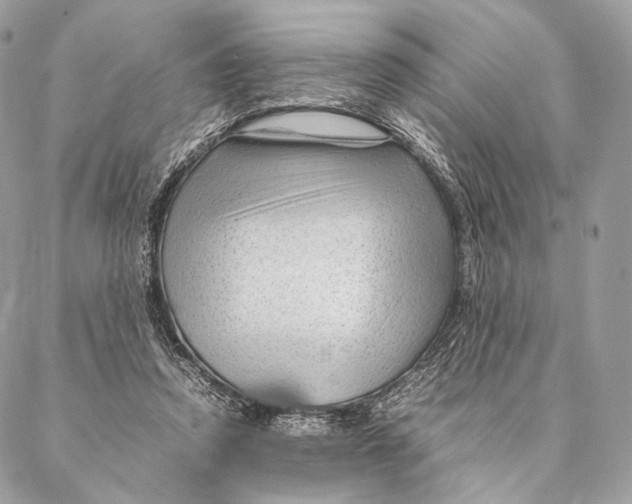 X0000087390354200705111806