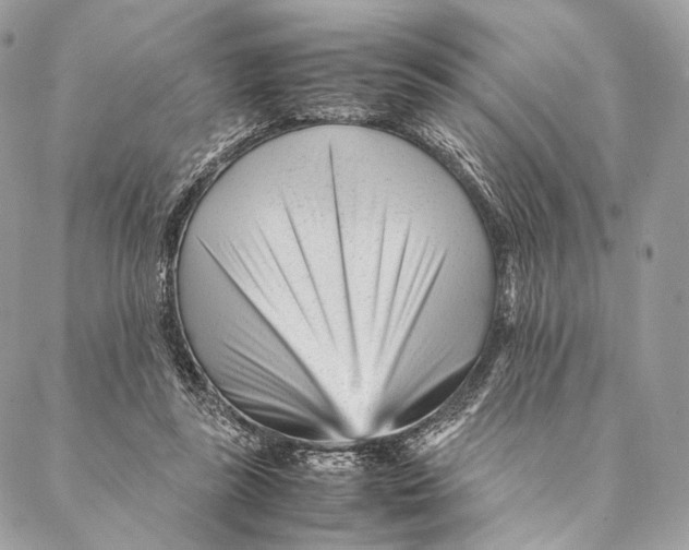 X0000087390355200705111806