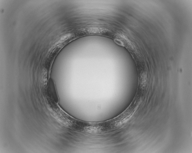 X0000087390356200705111806