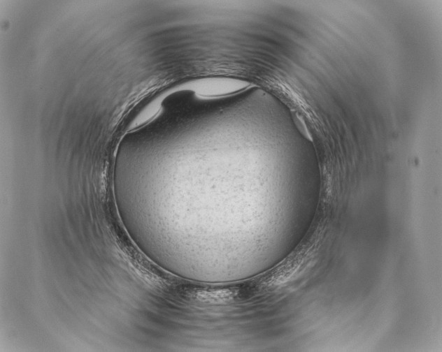 X0000087390357200705111806