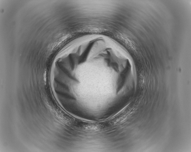 X0000087390358200705111806