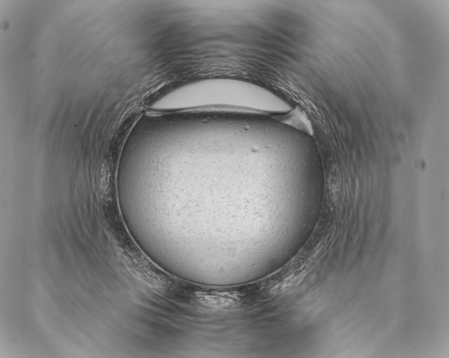 X0000087390359200705111806