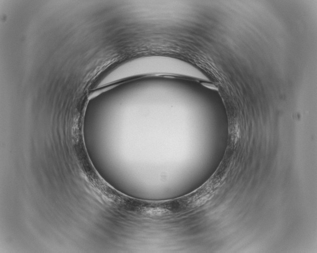 X0000087390360200705111806