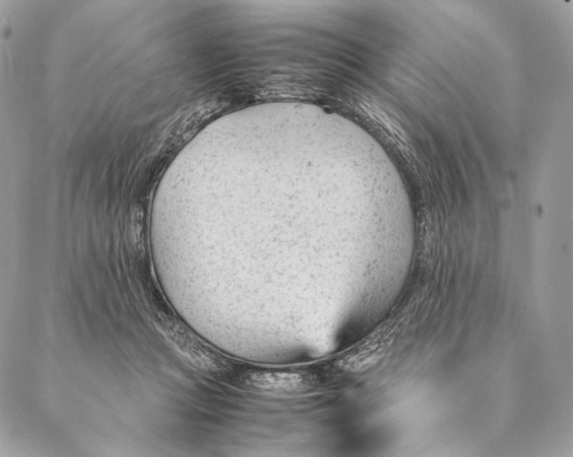 X0000087390361200705111806