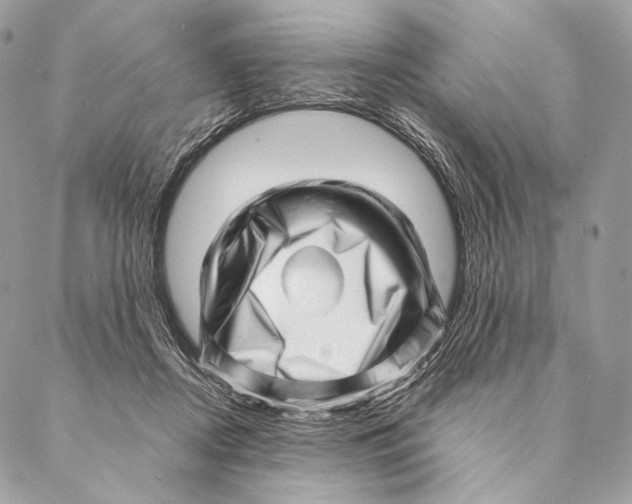 X0000087390362200705111806