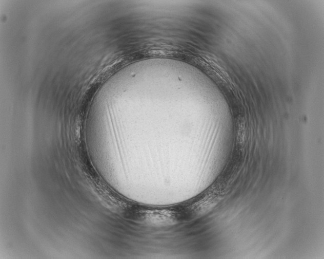 X0000087390363200705111806