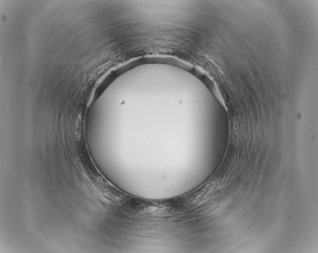 X0000087390364200705111806