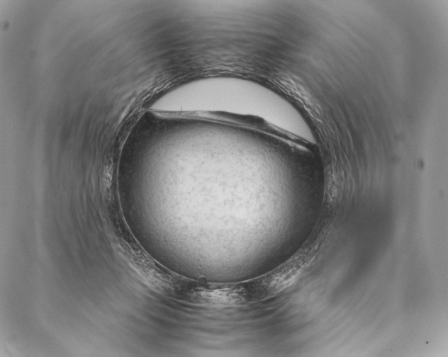 X0000087390365200705111806