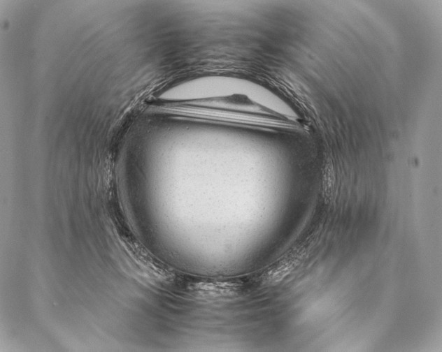 X0000087390367200705111806