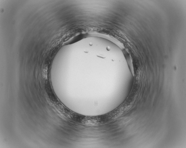 X0000087390368200705111806