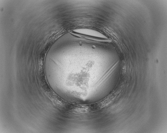 X0000087390369200705111806