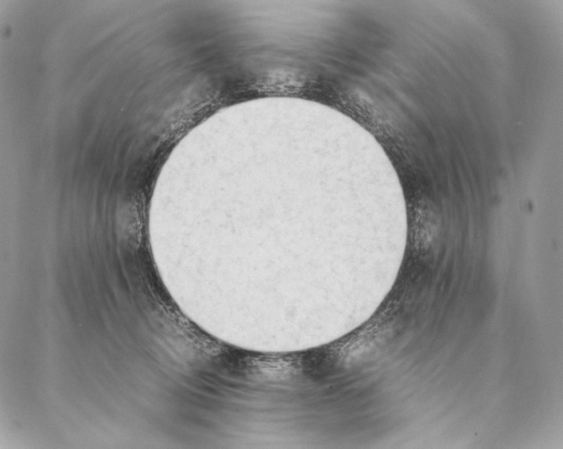 X0000087390370200705111806