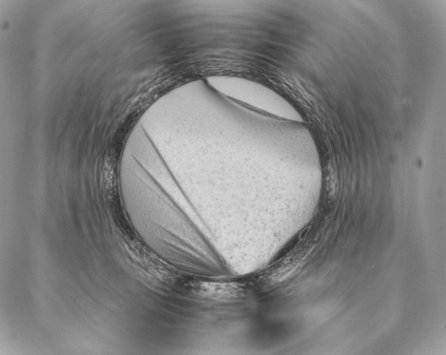 X0000087390371200705111806