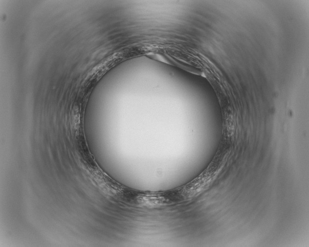 X0000087390372200705111806