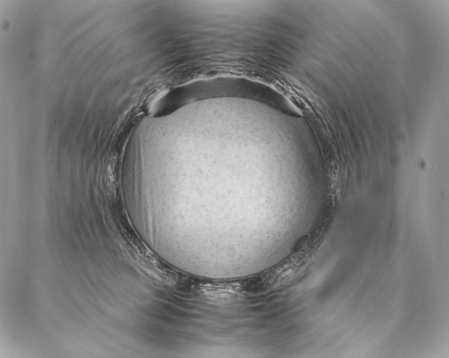 X0000087390373200705111806