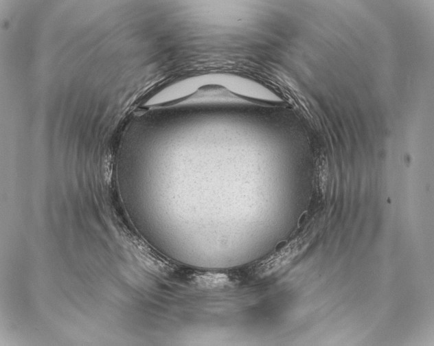 X0000087390374200705111807