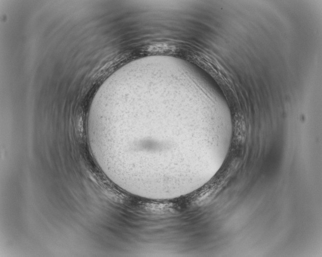 X0000087390375200705111807