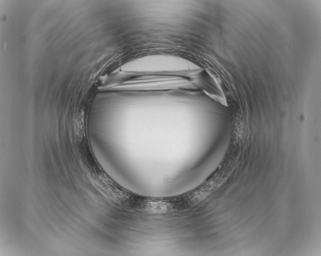 X0000087390376200705111807