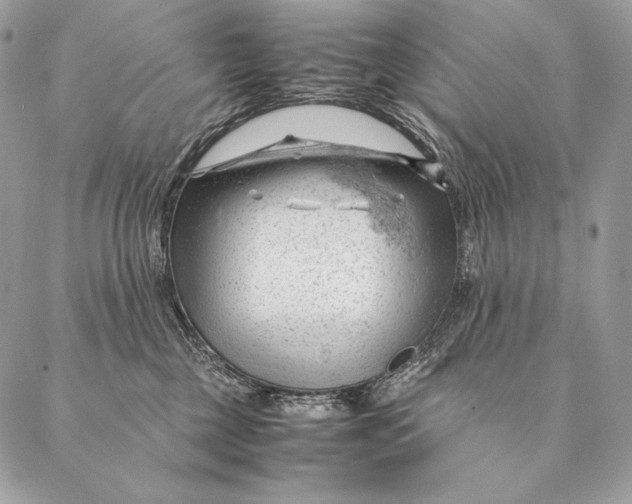 X0000087390377200705111807