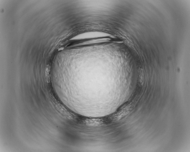 X0000087390378200705111807