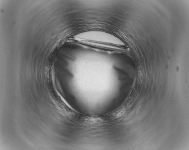 X0000087390379200705111807