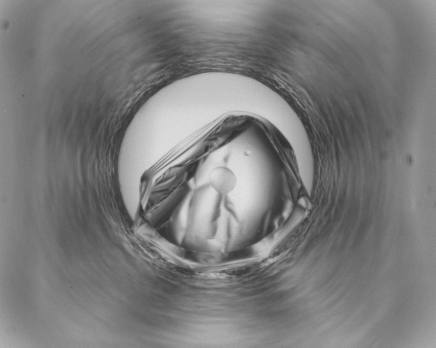 X0000087390380200705111807