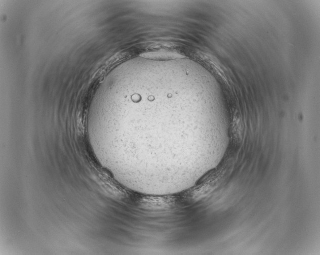 X0000087390381200705111807