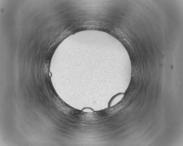 X0000087390382200705111807