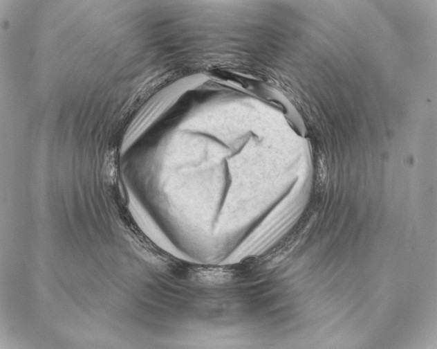 X0000087390383200705111807