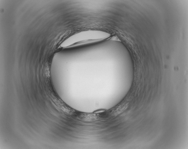 X0000087390384200705111807