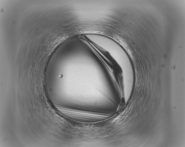 X0000087390385200705111806