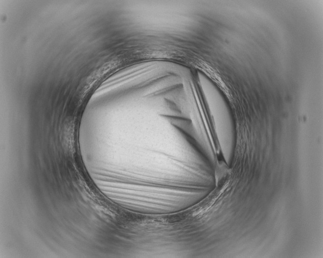 X0000087390386200705111806