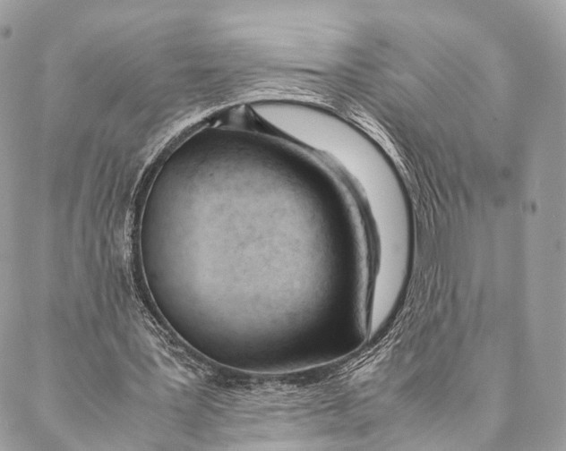 X0000087390387200705111806