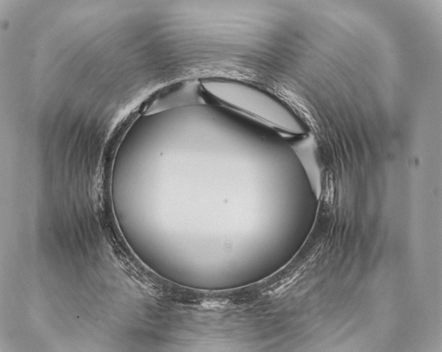 X0000087390388200705111806