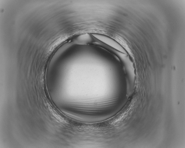 X0000087390389200705111806