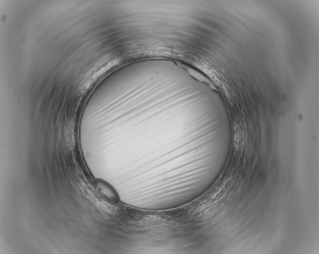 X0000087390390200705111806