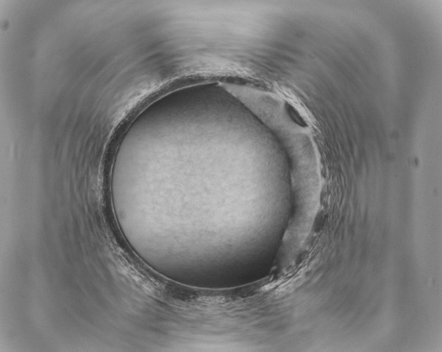 X0000087390391200705111806