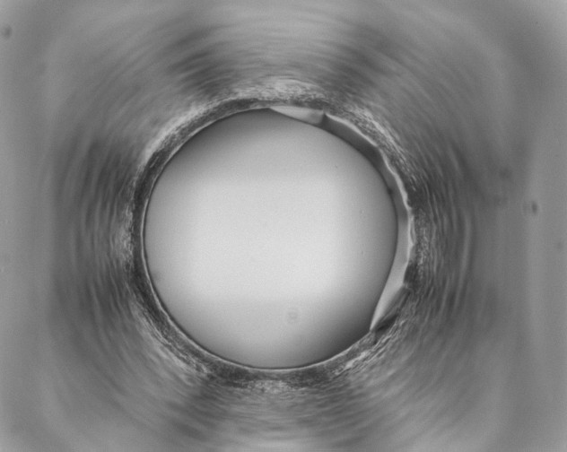 X0000087390392200705111806