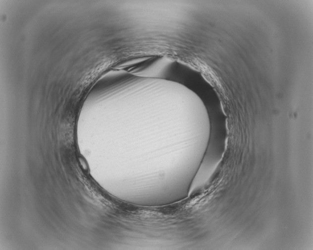 X0000087390393200705111806