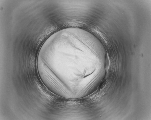 X0000087390394200705111806