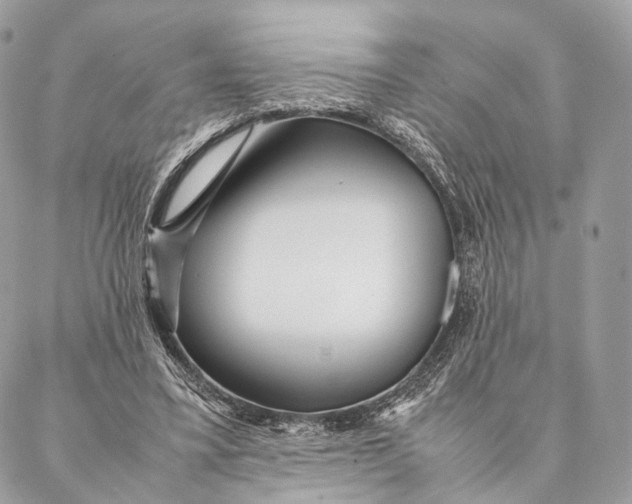 X0000087390395200705111806