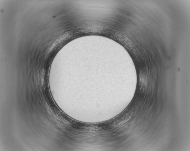 X0000087390396200705111806