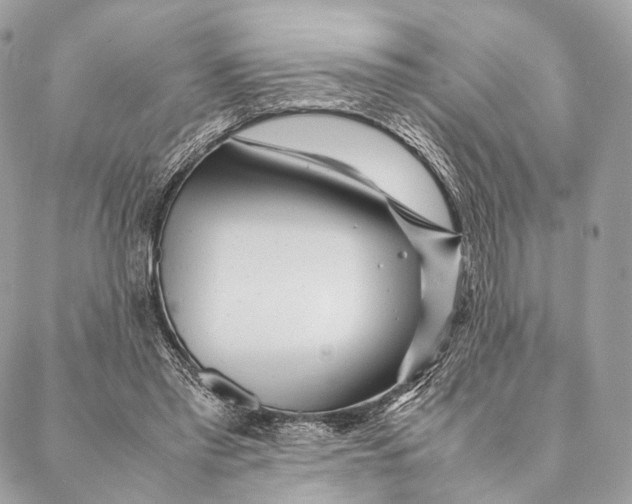 X0000087390397200705111806