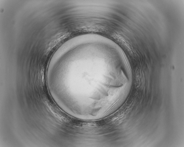 X0000087390398200705111806