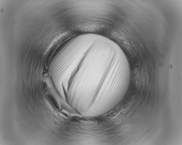 X0000087390400200705111806