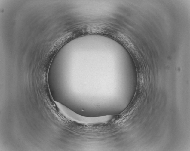 X0000087390401200705111806