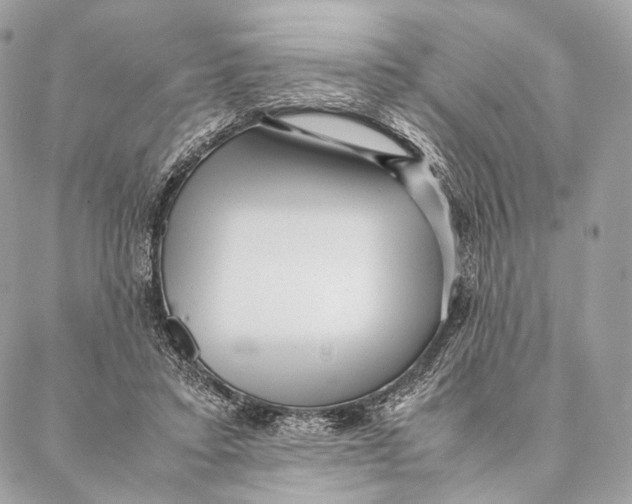 X0000087390403200705111806