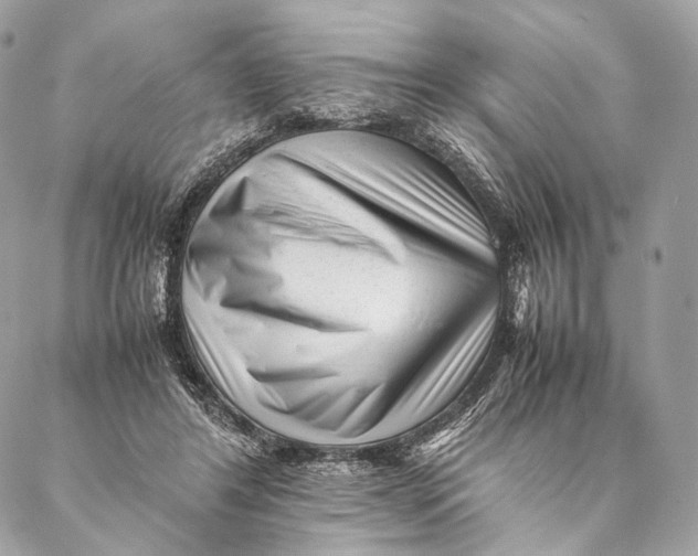 X0000087390404200705111806